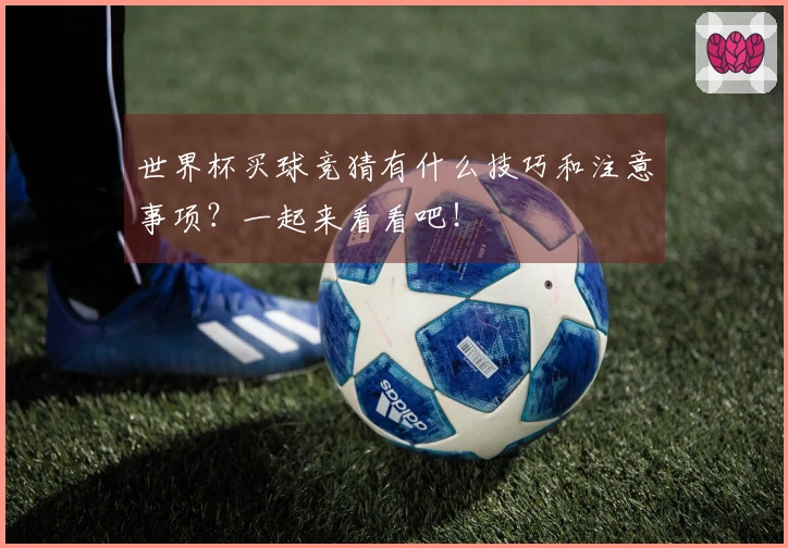 世界杯买球竞猜有什么技巧和注意事项？一起来看看吧！