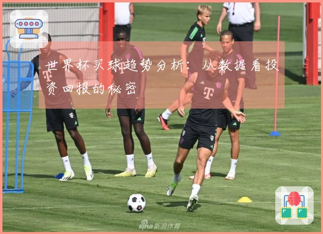 世界杯买球趋势分析：从数据看投资回报的秘密