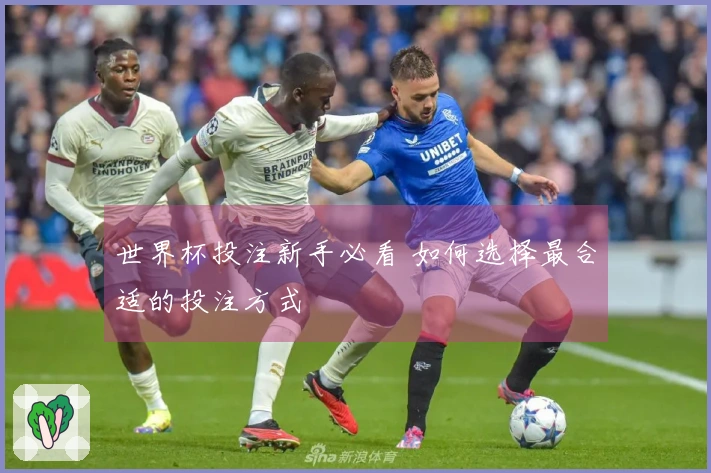 世界杯投注新手必看 如何选择最合适的投注方式