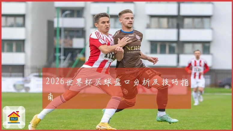 2026世界杯买球盘口分析及技巧指南
