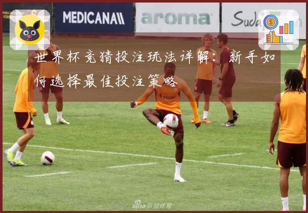 世界杯竞猜投注玩法详解：新手如何选择最佳投注策略