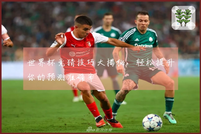 世界杯竞猜技巧大揭秘，轻松提升你的预测准确率